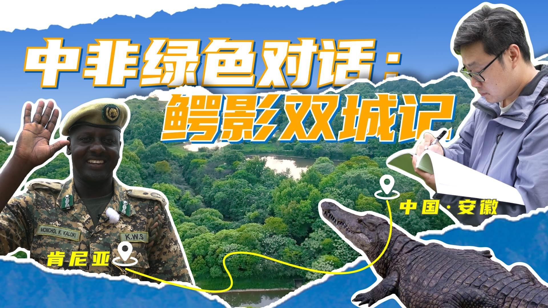 全球连线丨中非绿色对话：鳄影双城记