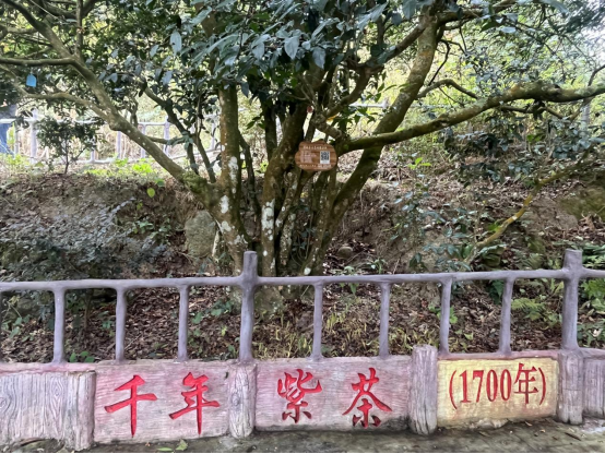 2929d88482b3415da1cff2b5767a1ed6.png 2929d88482b3415da1cff2b5767a1ed6.png