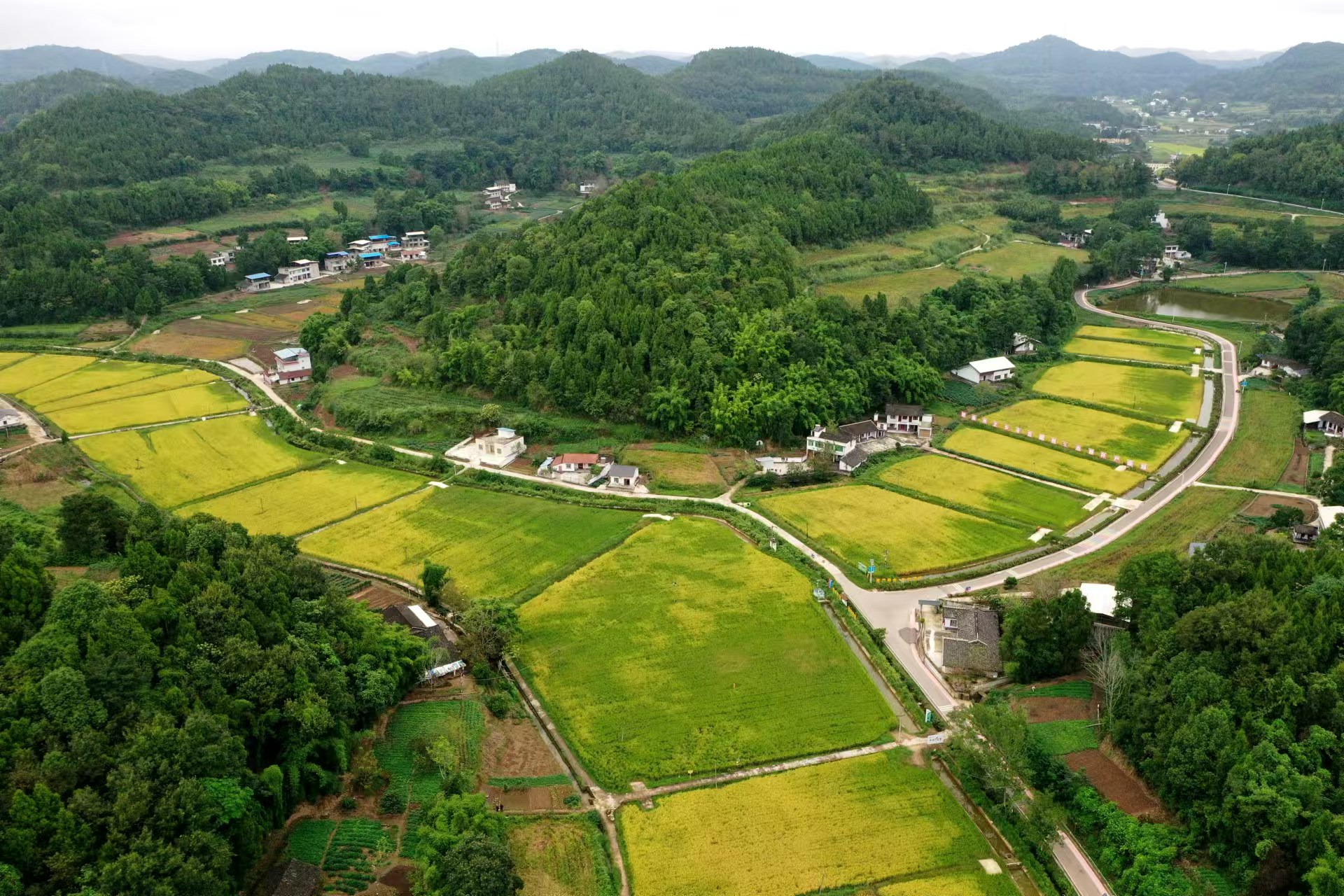 cea7a6dbe42a4ce9b9995e9155e16595.jpeg cea7a6dbe42a4ce9b9995e9155e16595.jpeg