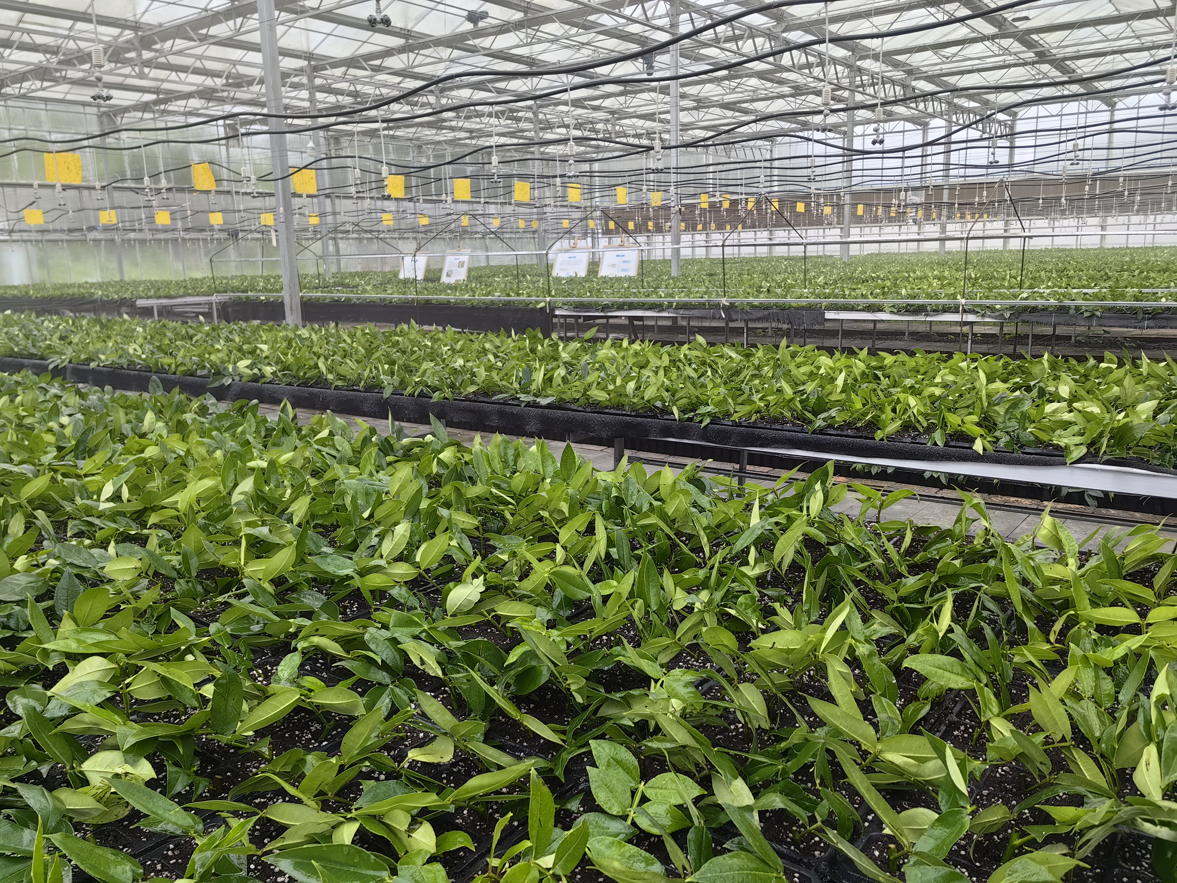 微信图片_20241228204838.jpg 微信图片_20241228204838.jpg