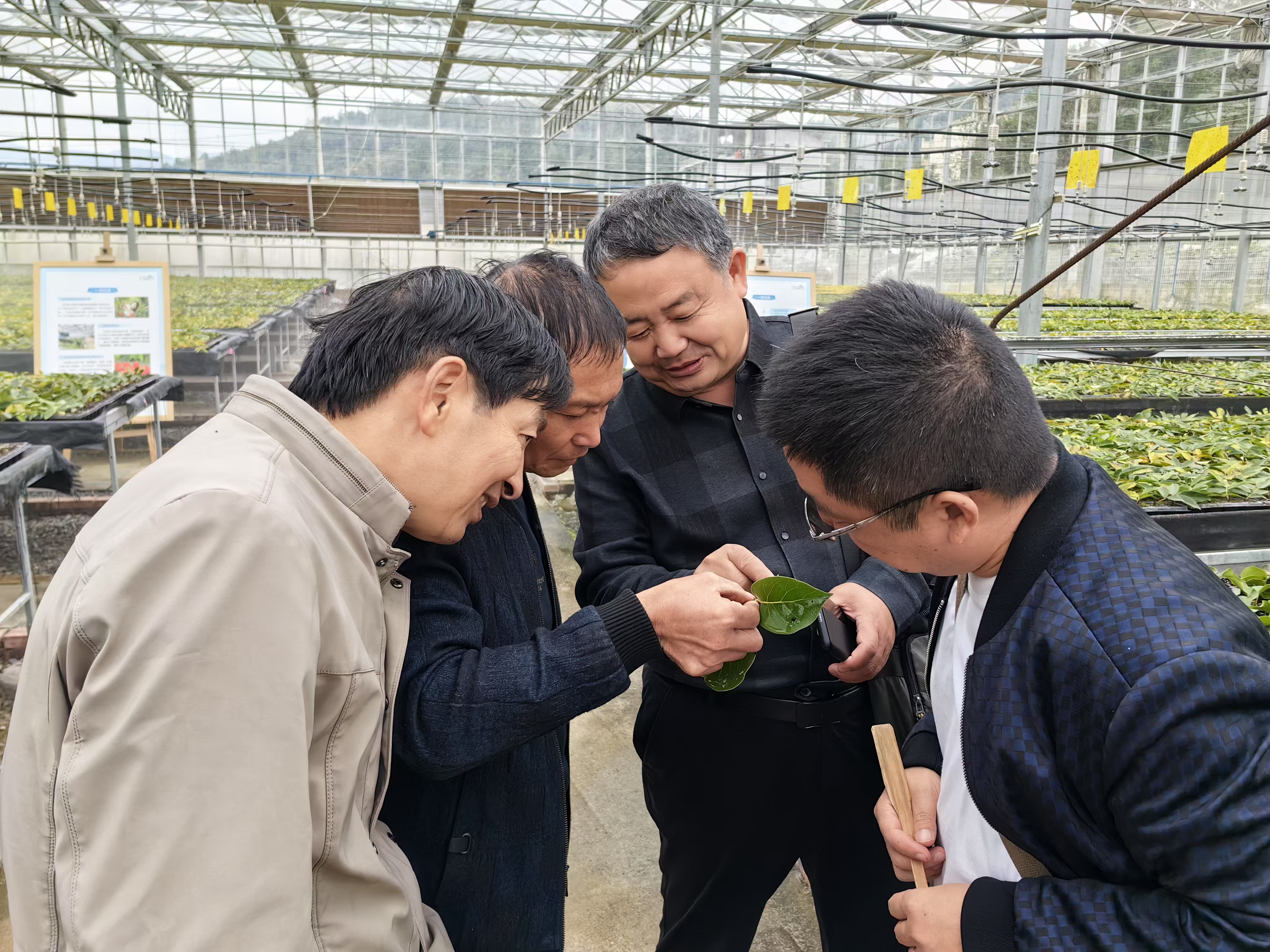 微信图片_20241228204826.jpg 微信图片_20241228204826.jpg