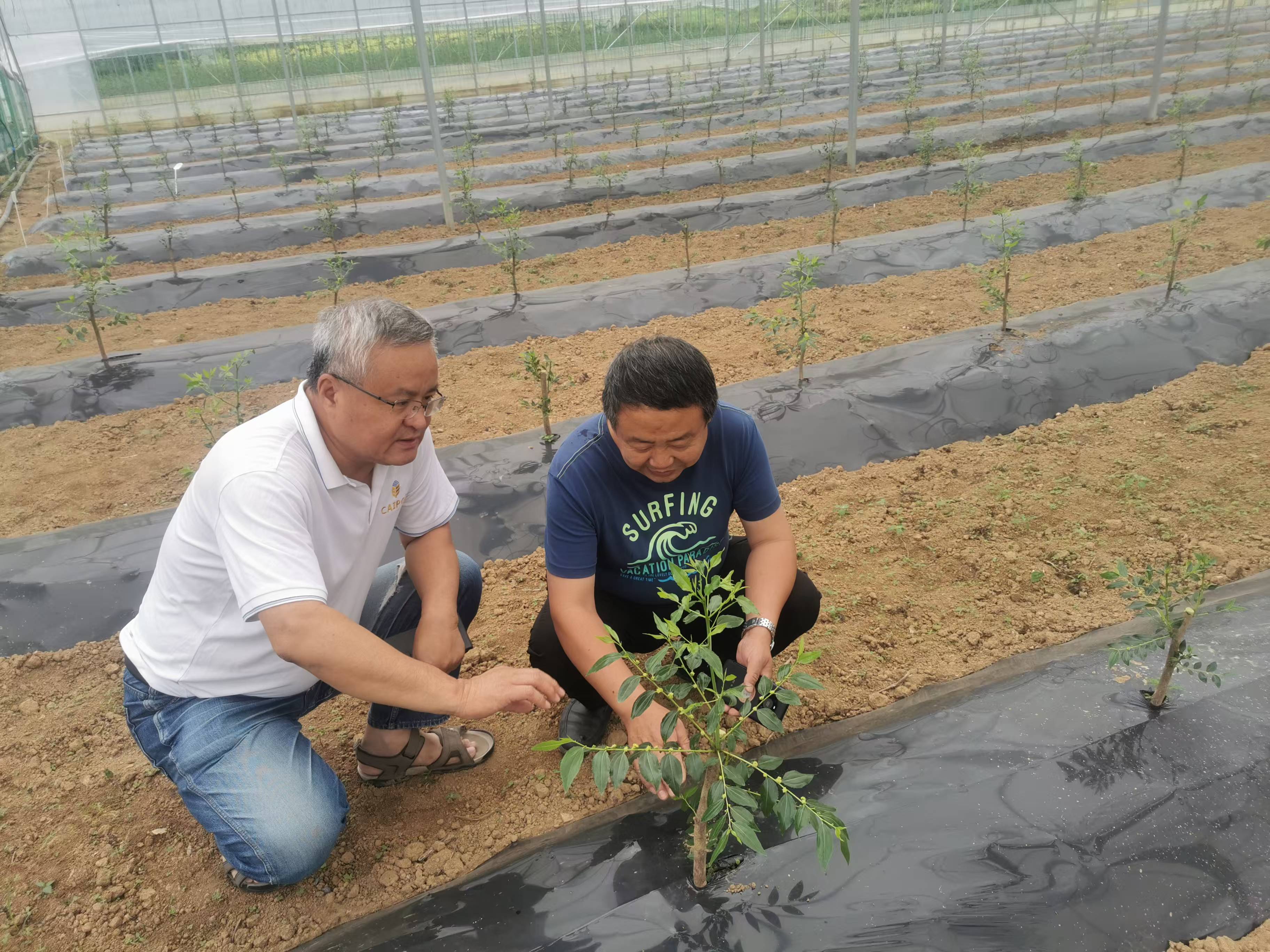 微信图片_20241228204843.jpg 微信图片_20241228204843.jpg