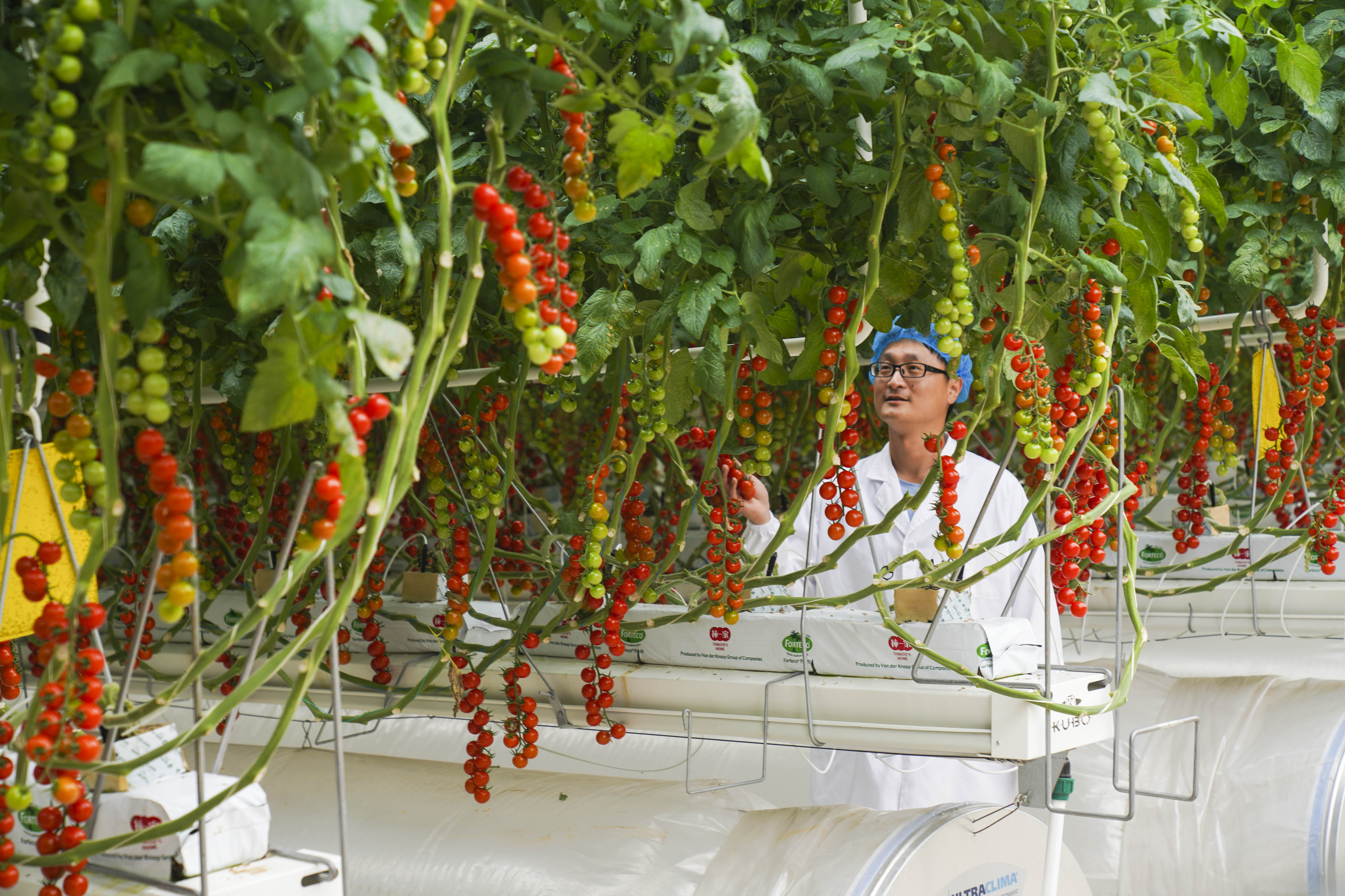 图111.jpg 2b304d36e9a241f790e296423ca5a123.jpeg