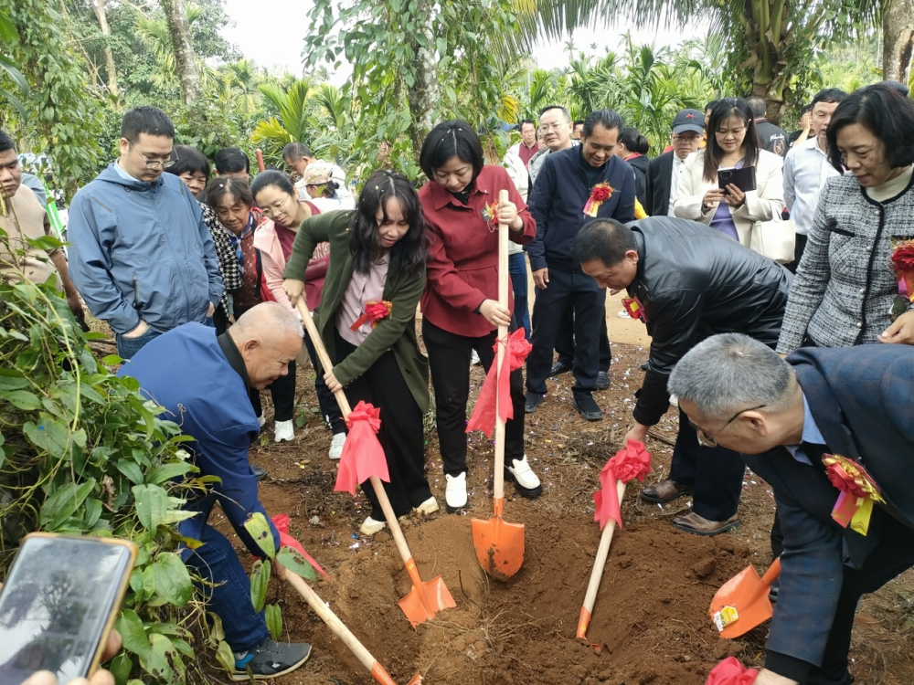 美寨山药2.jpg 3f3940c015354fba93ee7dd1abb8b971.jpeg