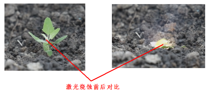 0a2d038b5b95498186cfac3c88e0aec6.png 0a2d038b5b95498186cfac3c88e0aec6.png