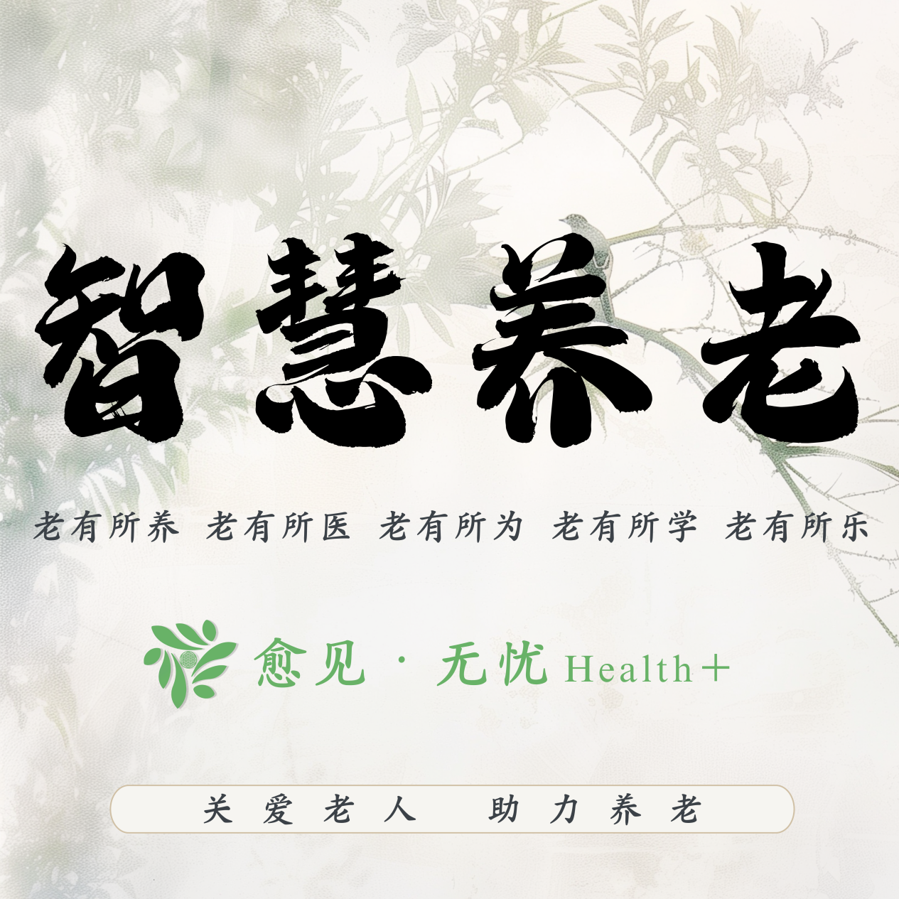 图片1.png 图片1.png