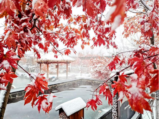 6e9961ae10a849939a01fbd070da5a2e.png 6e9961ae10a849939a01fbd070da5a2e.png