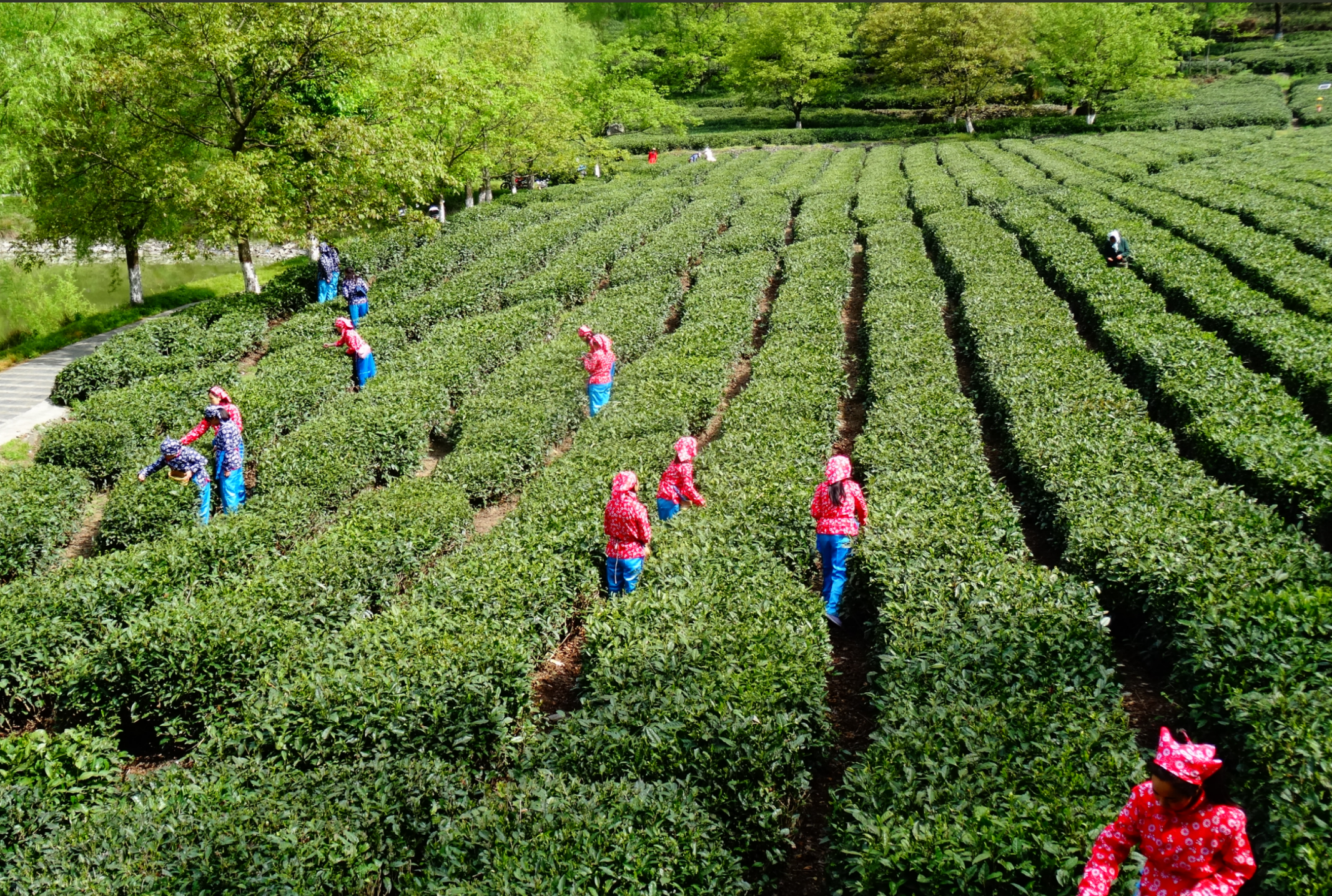 7f2c781d47fc4f708b16de66c8d8b190 (1).png