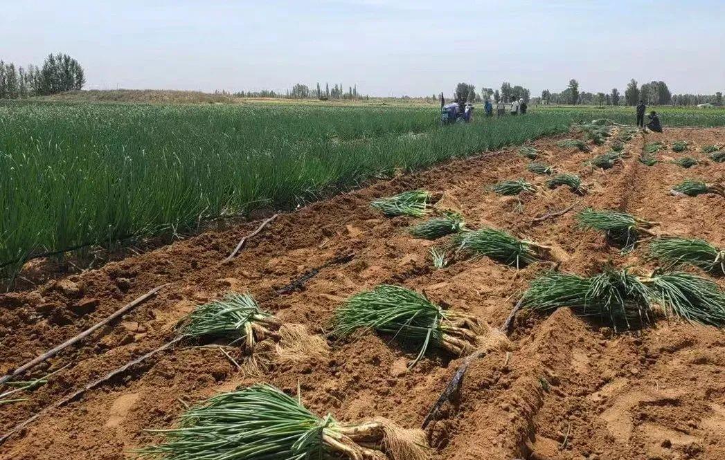 75F3E1F350C51DD7526EEA27412_91F565B1_384FB.jpg 75F3E1F350C51DD7526EEA27412_91F565B1_384FB.jpg