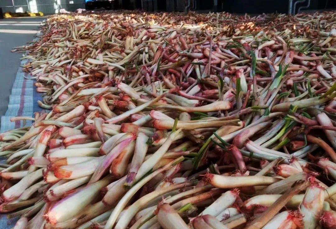 0425930D98A9497F04DC1FC3E11_06D50243_2B2FE.jpg 0425930D98A9497F04DC1FC3E11_06D50243_2B2FE.jpg