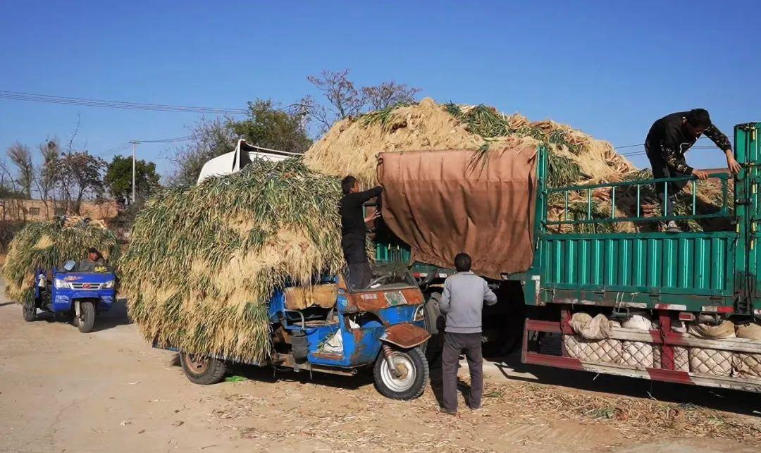 5D03A34809C749755BED5950139_CAFE9E23_26BEA.jpg 5D03A34809C749755BED5950139_CAFE9E23_26BEA.jpg