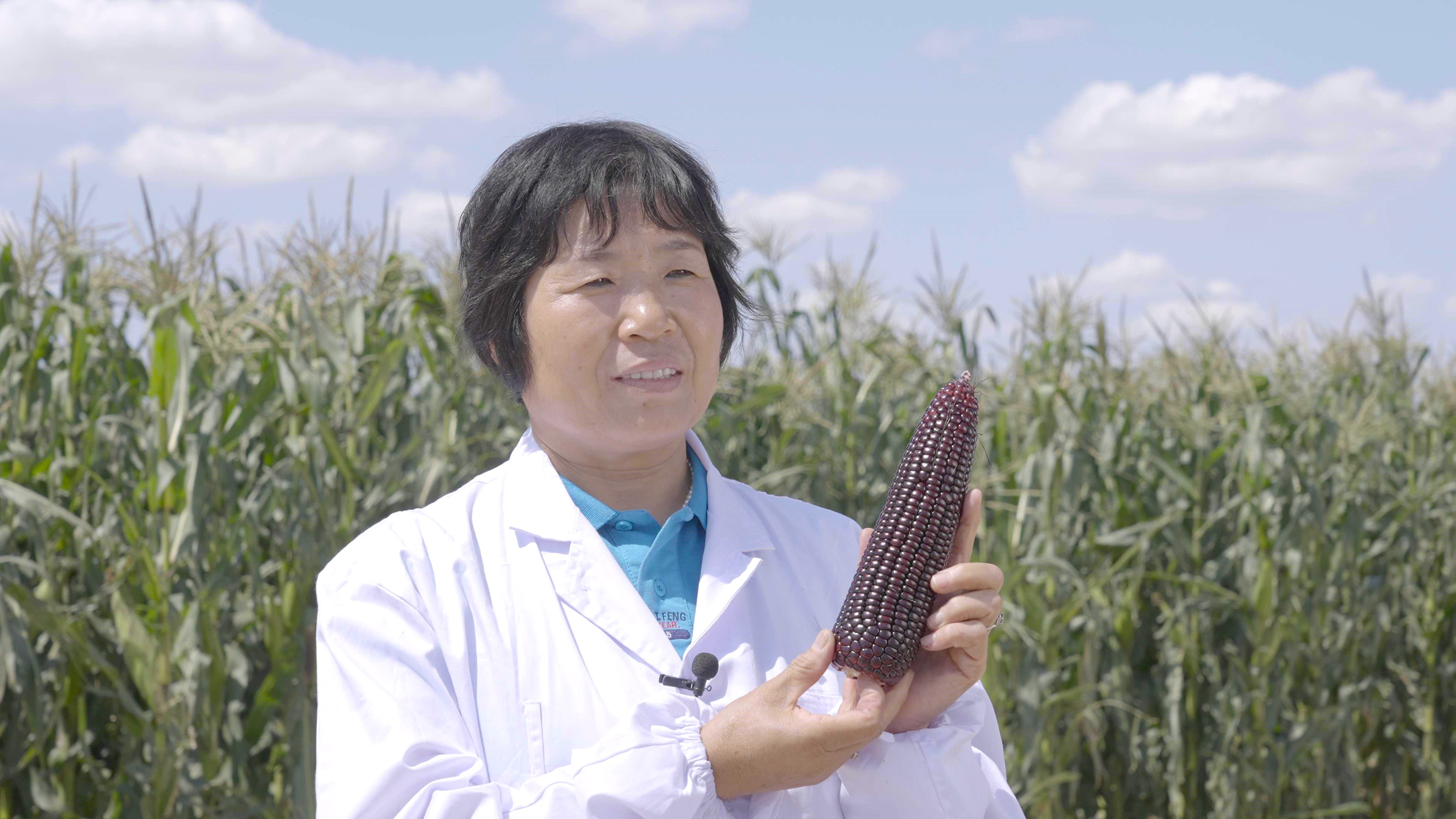 1bb26591b53b4c51888dfddc41266547.jpeg 1bb26591b53b4c51888dfddc41266547.jpeg