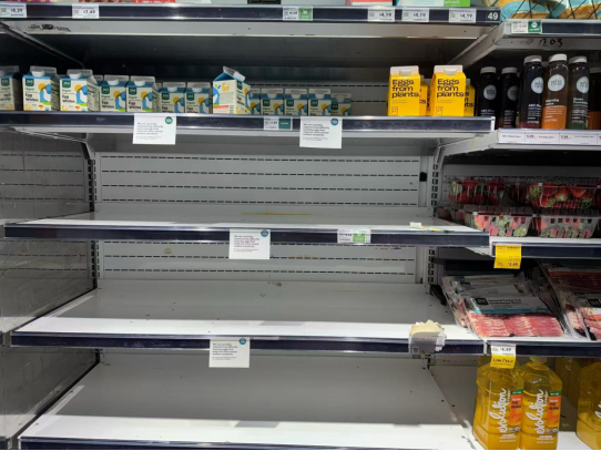 0185cd1105824501bed9958923168942.png 0185cd1105824501bed9958923168942.png