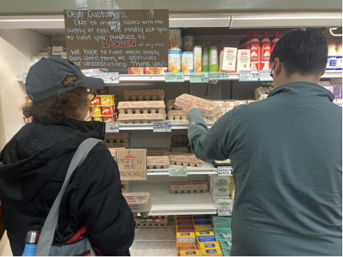 1f9aa70dd9924a169ad69998aa76097c.png 1f9aa70dd9924a169ad69998aa76097c.png