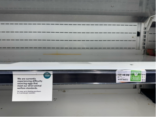 b36d16c7f9a847c49e830224ee67f1da.png b36d16c7f9a847c49e830224ee67f1da.png