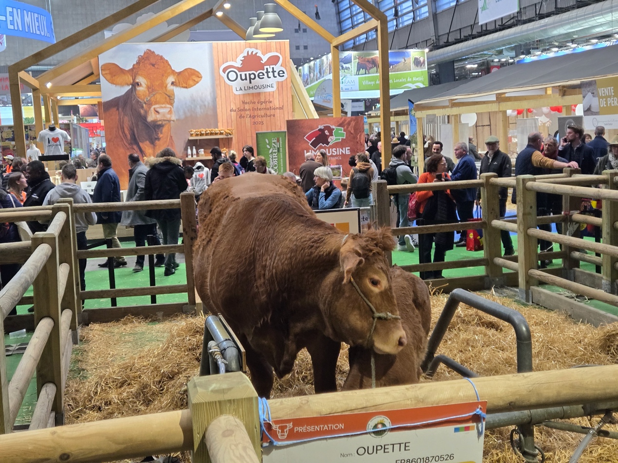 34b120c570b04da2a34a04e2533a8483.jpeg 34b120c570b04da2a34a04e2533a8483.jpeg