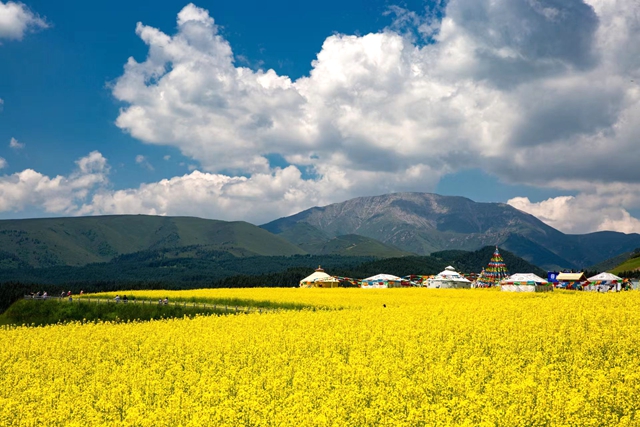 629784a2aa9a4008b1df3c5f08045354.jpg 629784a2aa9a4008b1df3c5f08045354.jpg