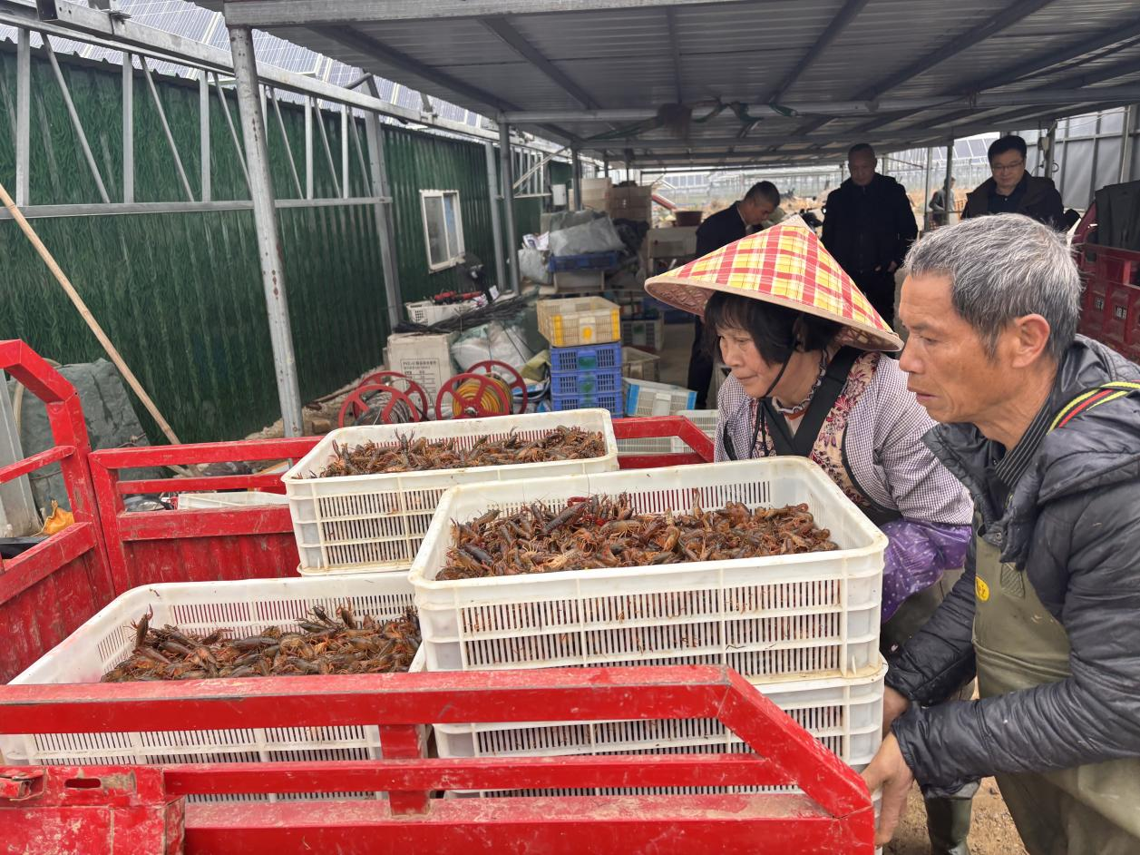 图片2.png 图片2.png