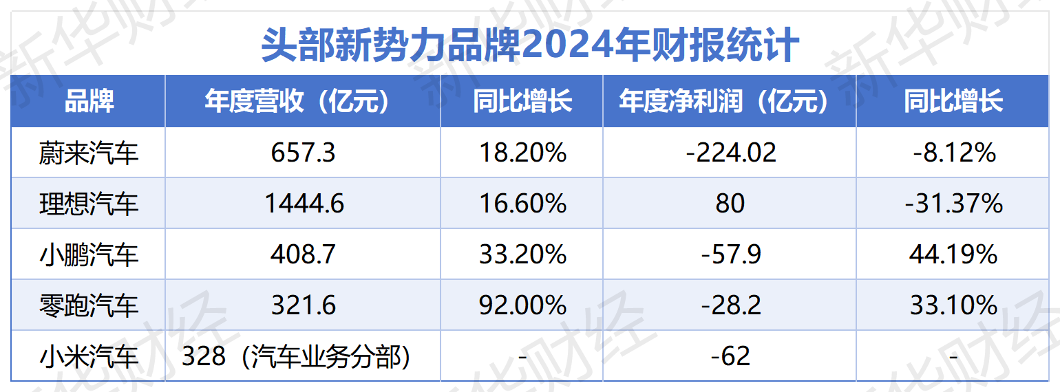 头部新势力财报统计_Sheet1.png