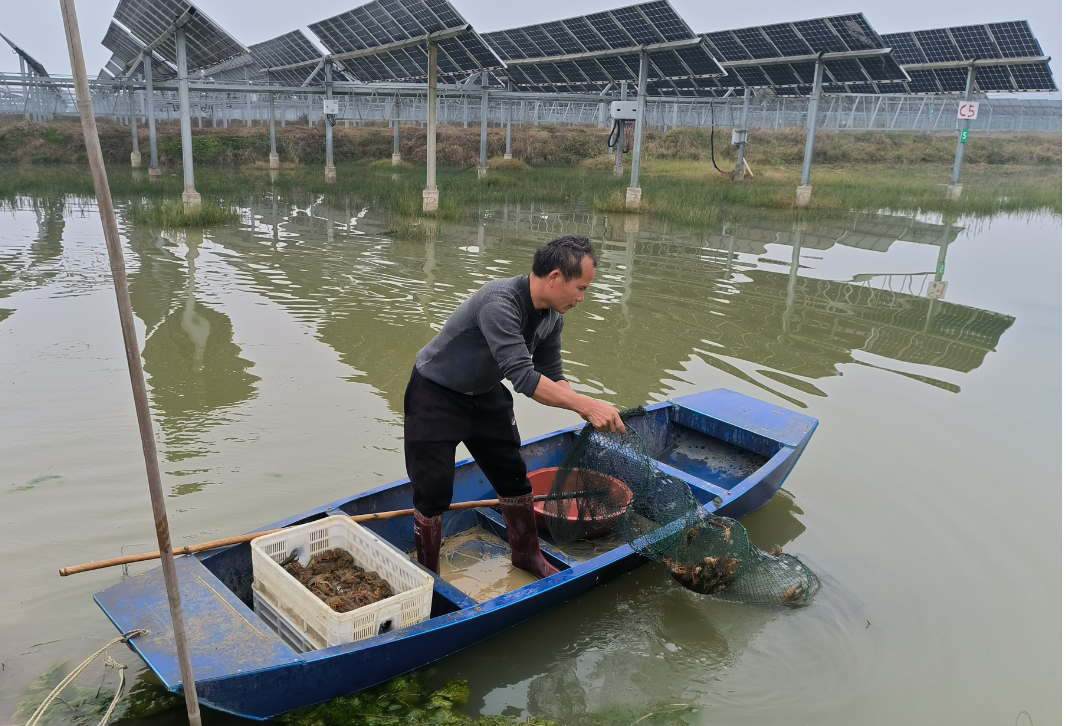 图片1.png 图片1.png