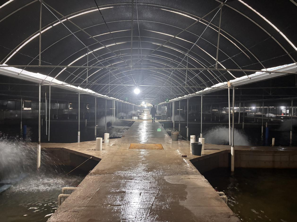 图片3.png 图片3.png