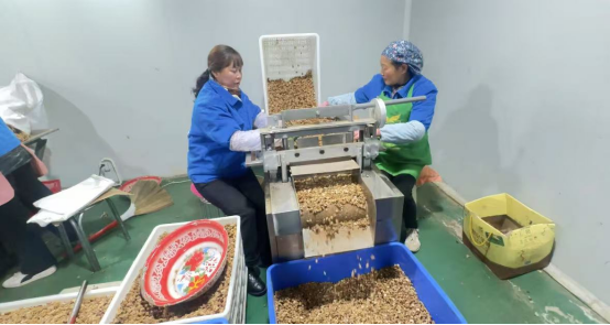 e872f1343f2d4a2b983caaae9b6bb03a.png e872f1343f2d4a2b983caaae9b6bb03a.png