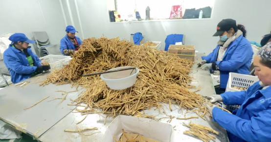 fabc0e512cdd41769b92f07d8dc1c68c.png fabc0e512cdd41769b92f07d8dc1c68c.png