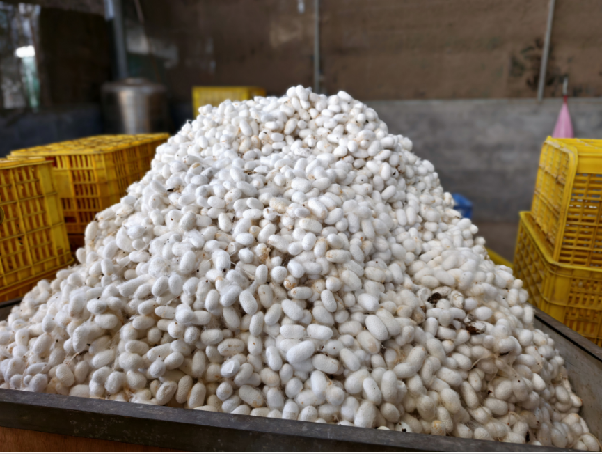 微信图片_20250328104954.png 微信图片_20250328104954.png