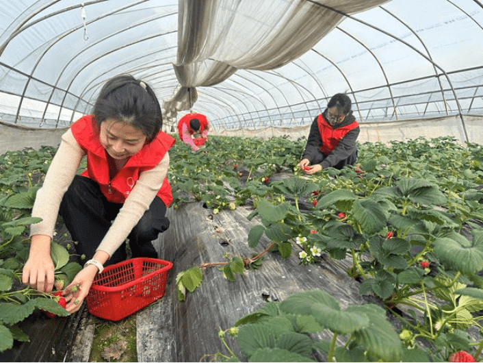 8ad826bcbcdc451baefc3e41f5ab1aa0.png 8ad826bcbcdc451baefc3e41f5ab1aa0.png