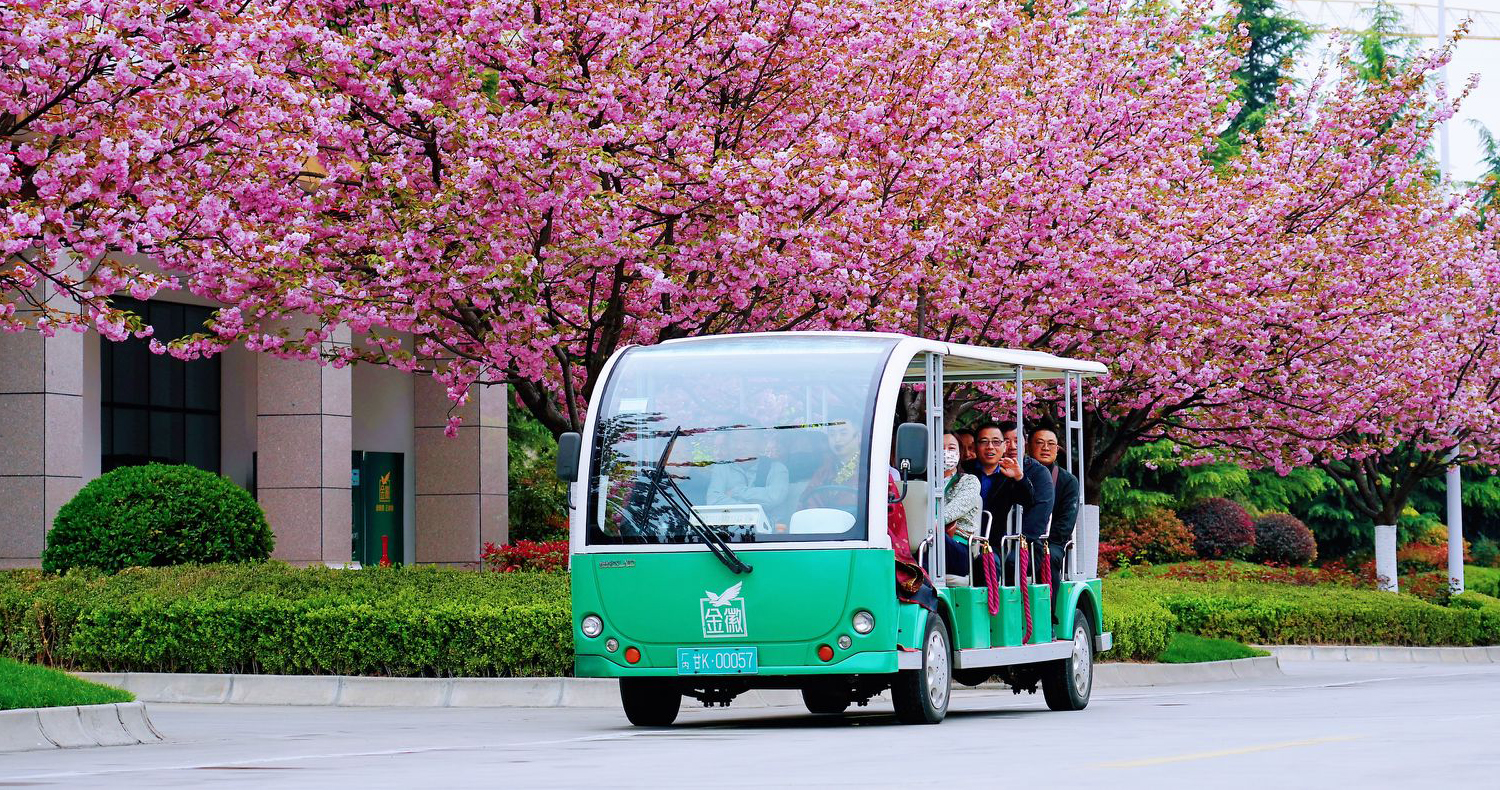 e559eb91dj696d3664ad96214afd80dc 拷贝.jpg