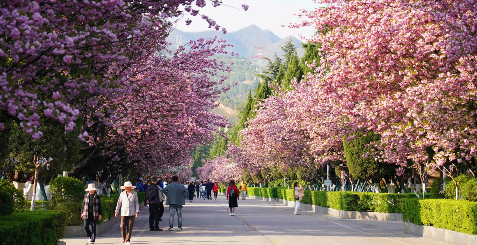 3bc754d0audb87e549118c463504330a 拷贝.jpg