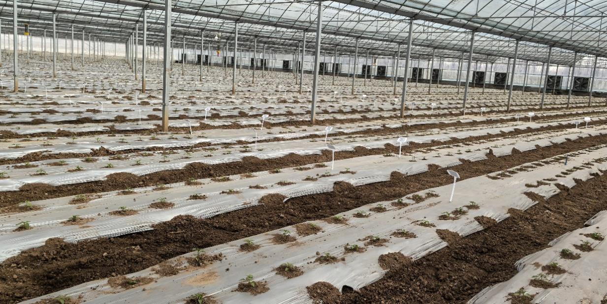 9f13238f74674ce78234ec088545a270.jpeg 9f13238f74674ce78234ec088545a270.jpeg