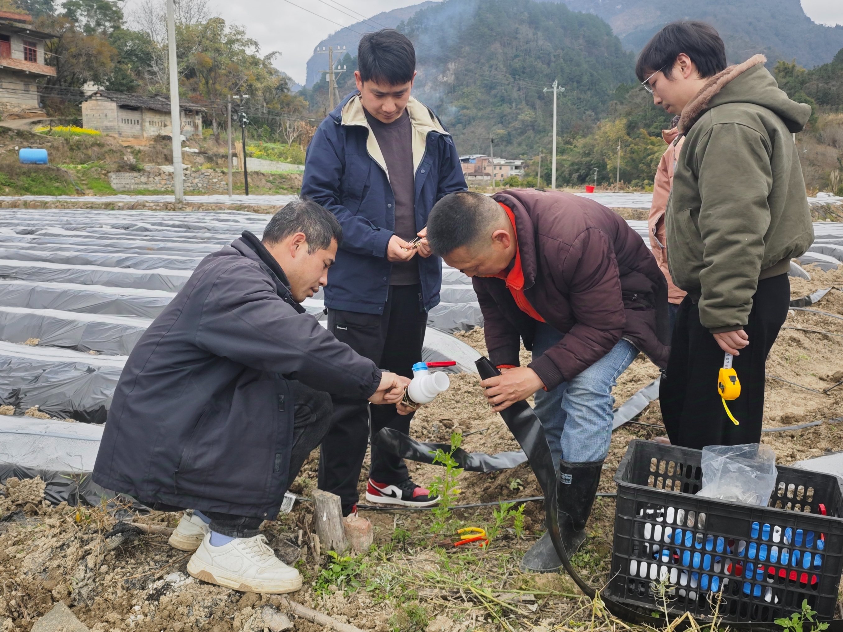 6179adaf594344daafc0c7db38477c50.jpg 5ee6f8185e8d46249084969c4c8c4227.jpeg