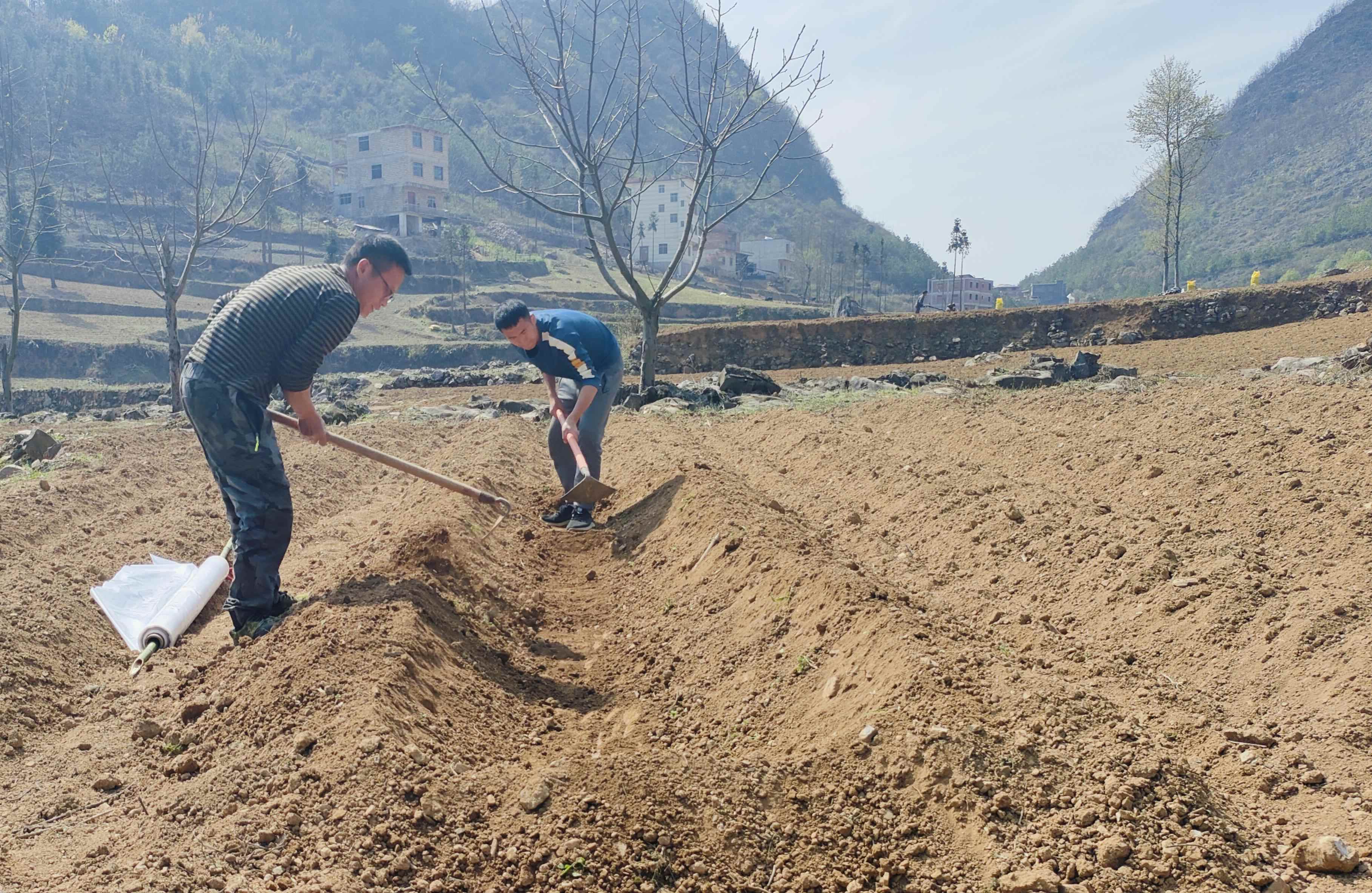 61b5aeff2f024158bc5c5b7bf571f0fb.jpg d0574bddcc2c47308bcf83be3777eaae.jpeg