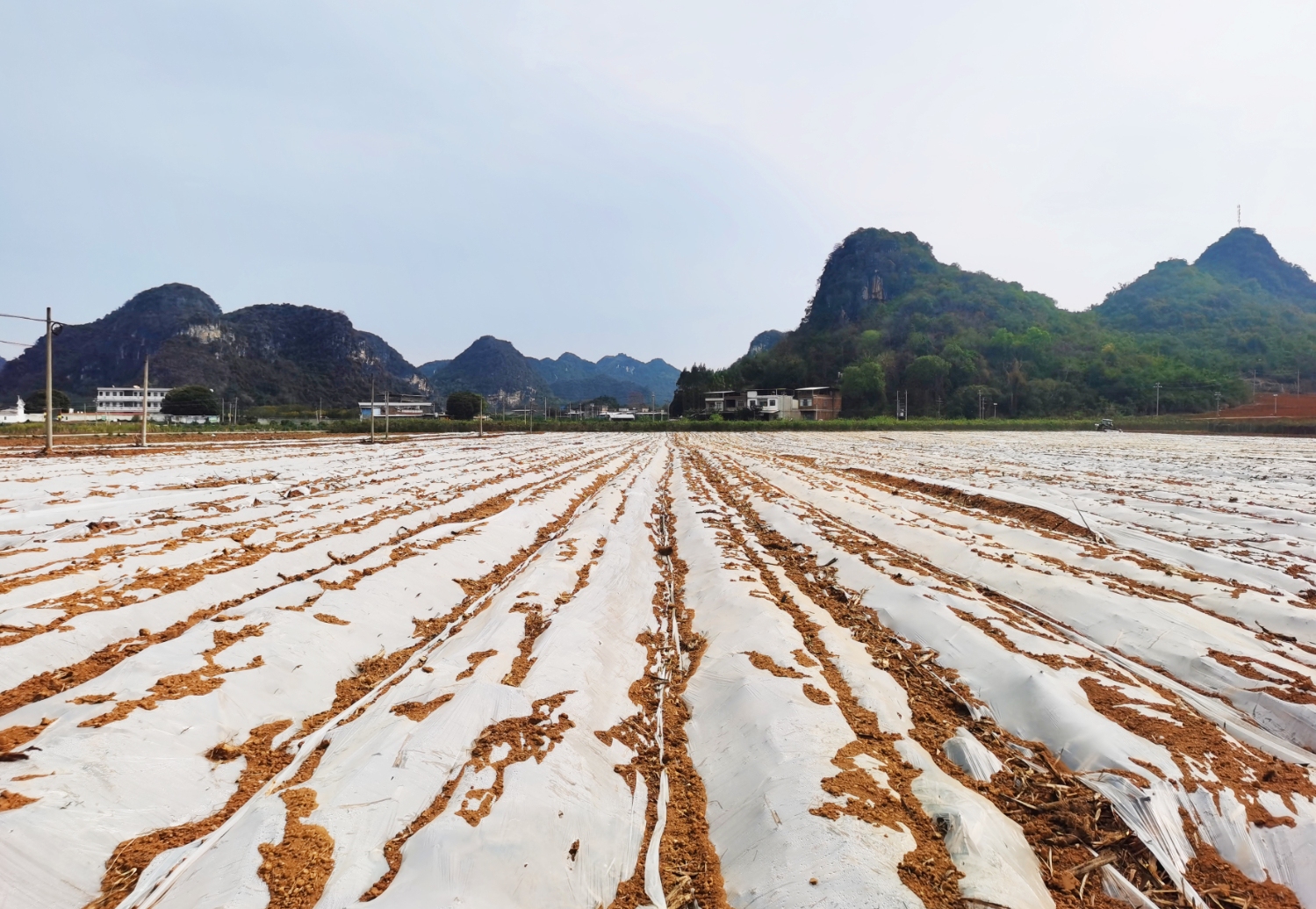 49b6d8bfcbf1477d9099e136ff9a162c.jpeg 49b6d8bfcbf1477d9099e136ff9a162c.jpeg