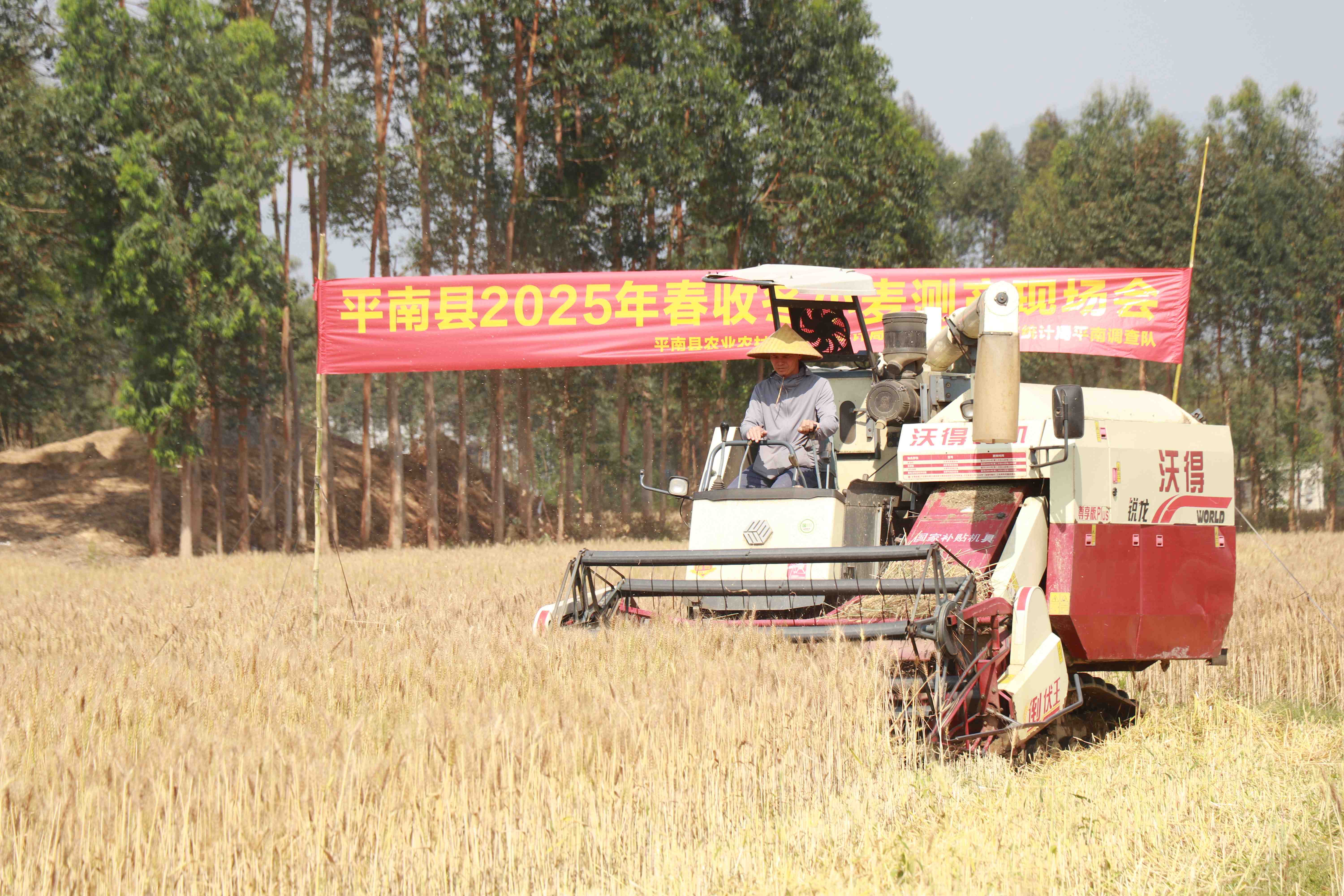 平南县融媒体中心（莫敏兰摄） (14).JPG