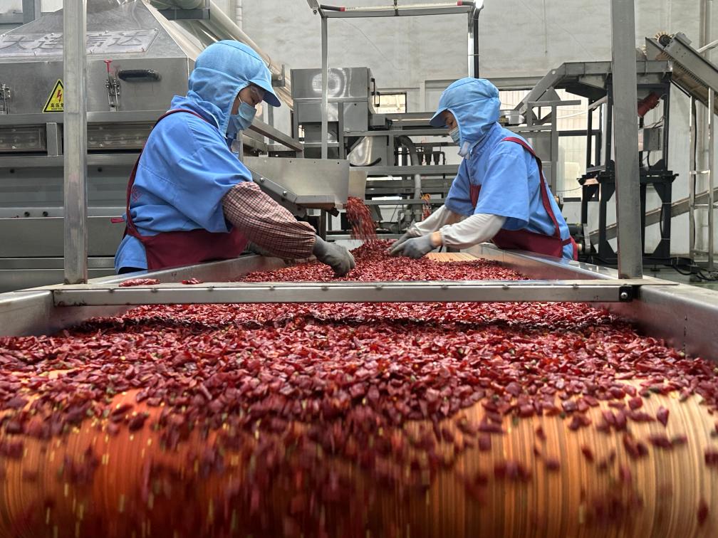 遵义红满坡农业发展有限公司的生产车间一瞥。新华社记者 李凡 摄.jpg
