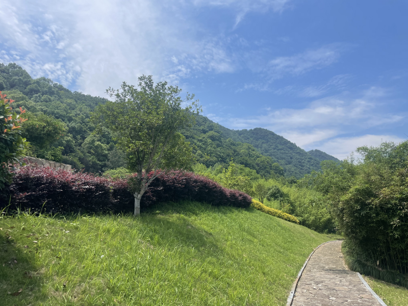 图片1_副本.png 89899189a59c4fefb9af2a2d51fda15d.png