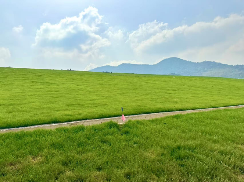 图片2_副本.png b120e0e00ff94f0caf213b6d8a92ba5a.png