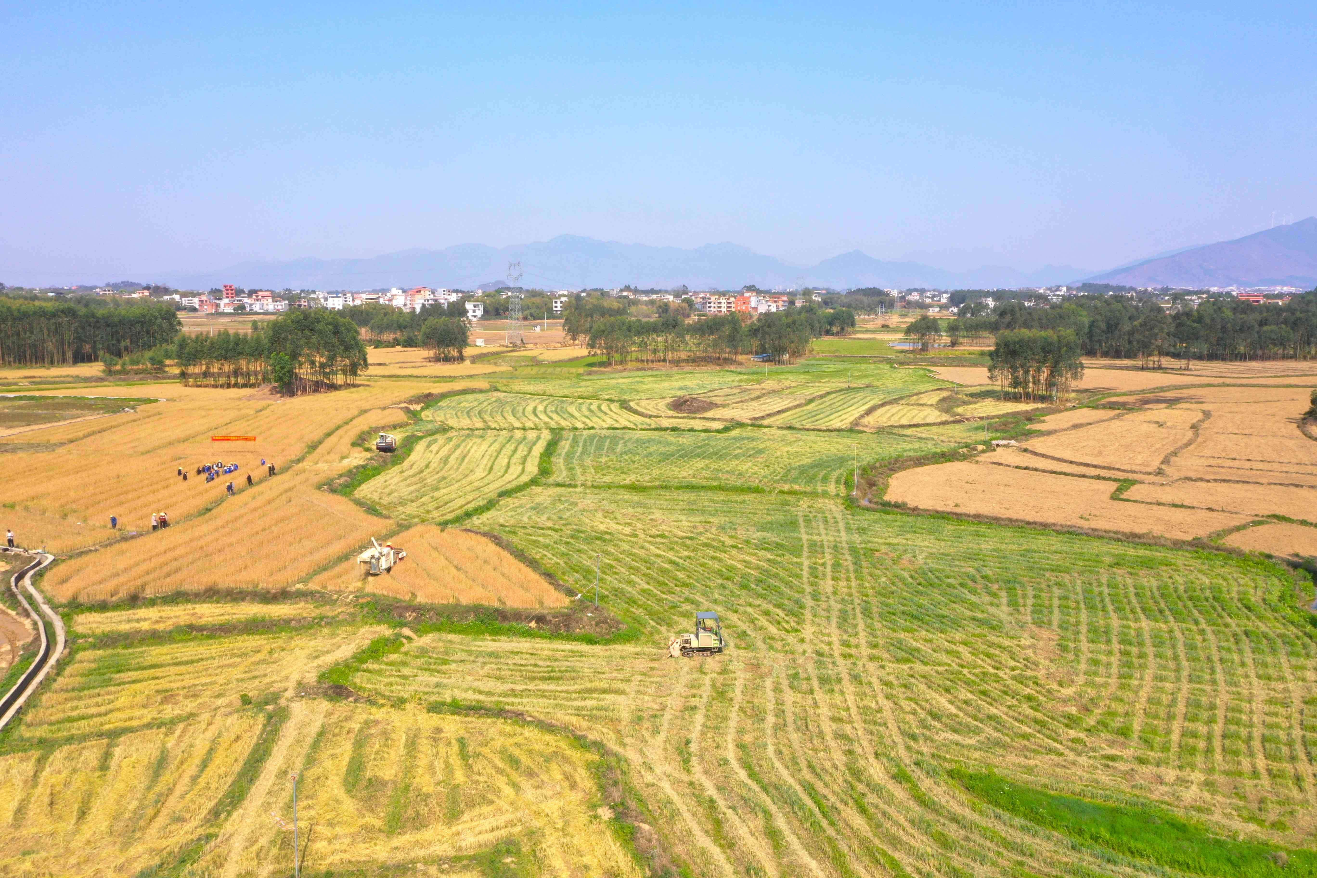 平南县融媒体中心（钟健摄） (7).JPG