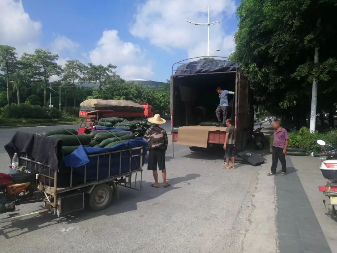 运输.jpg 运输.jpg