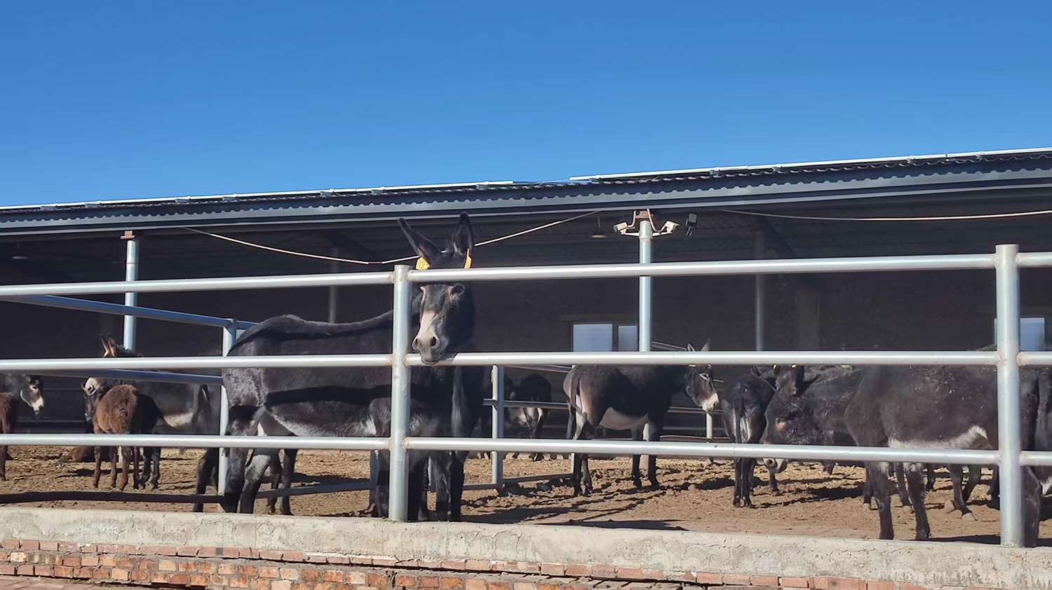 db45127728b34aee9c69156465ea513b.jpeg db45127728b34aee9c69156465ea513b.jpeg