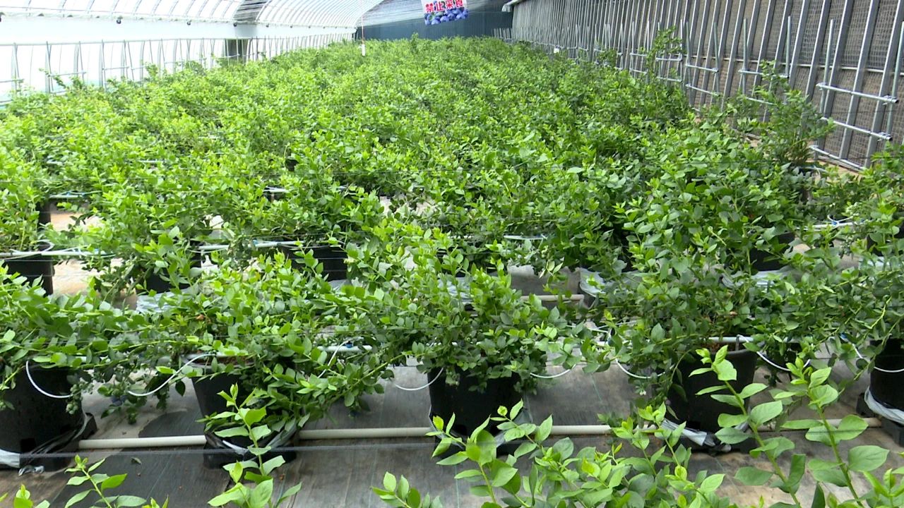 微信图片_20250418110611.jpg 微信图片_20250418110611.jpg