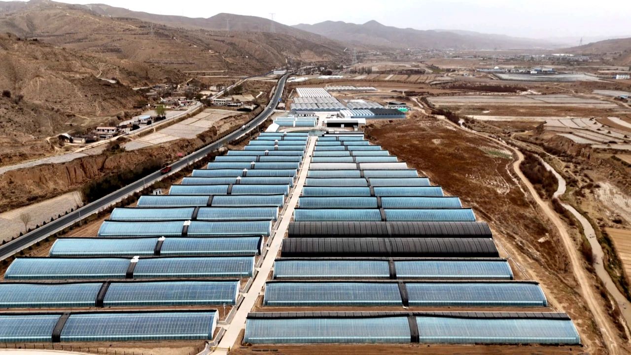 微信图片_20250418110600.jpg 微信图片_20250418110600.jpg