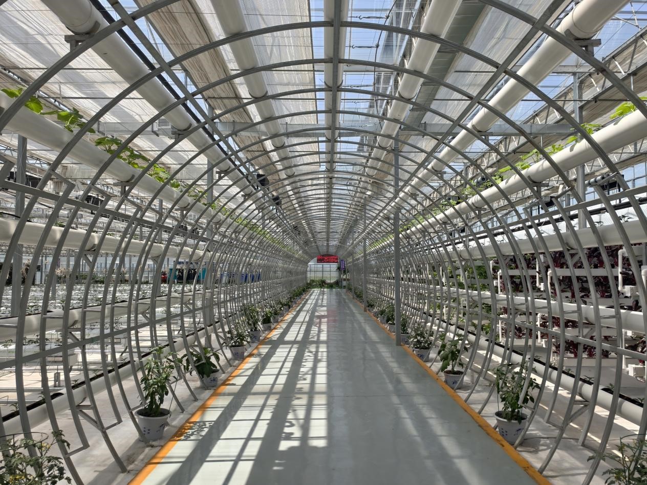 图片3.jpg 图片3.jpg