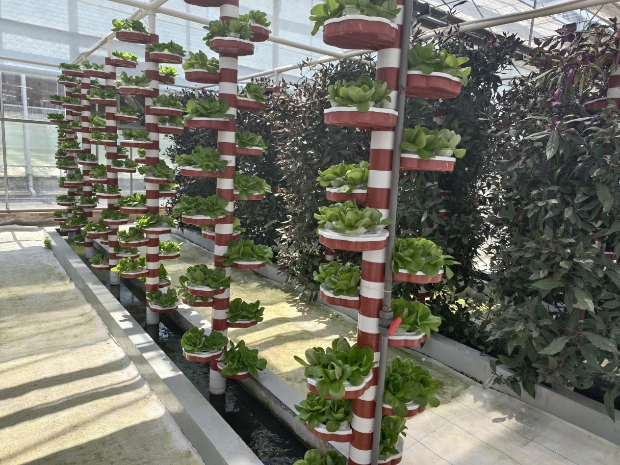 图片4.jpg 图片4.jpg