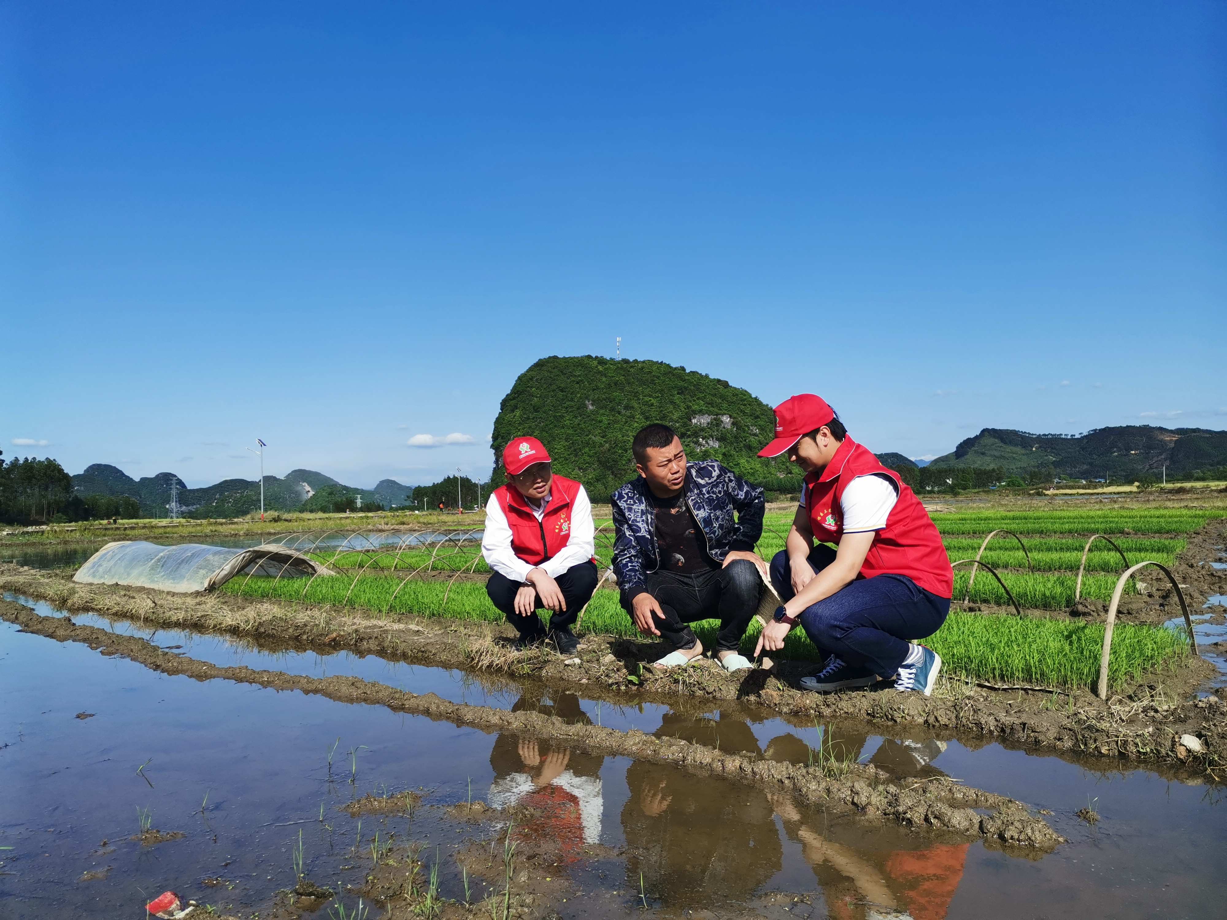 fa57abe893594af598c42e36a2f93211.jpeg fa57abe893594af598c42e36a2f93211.jpeg