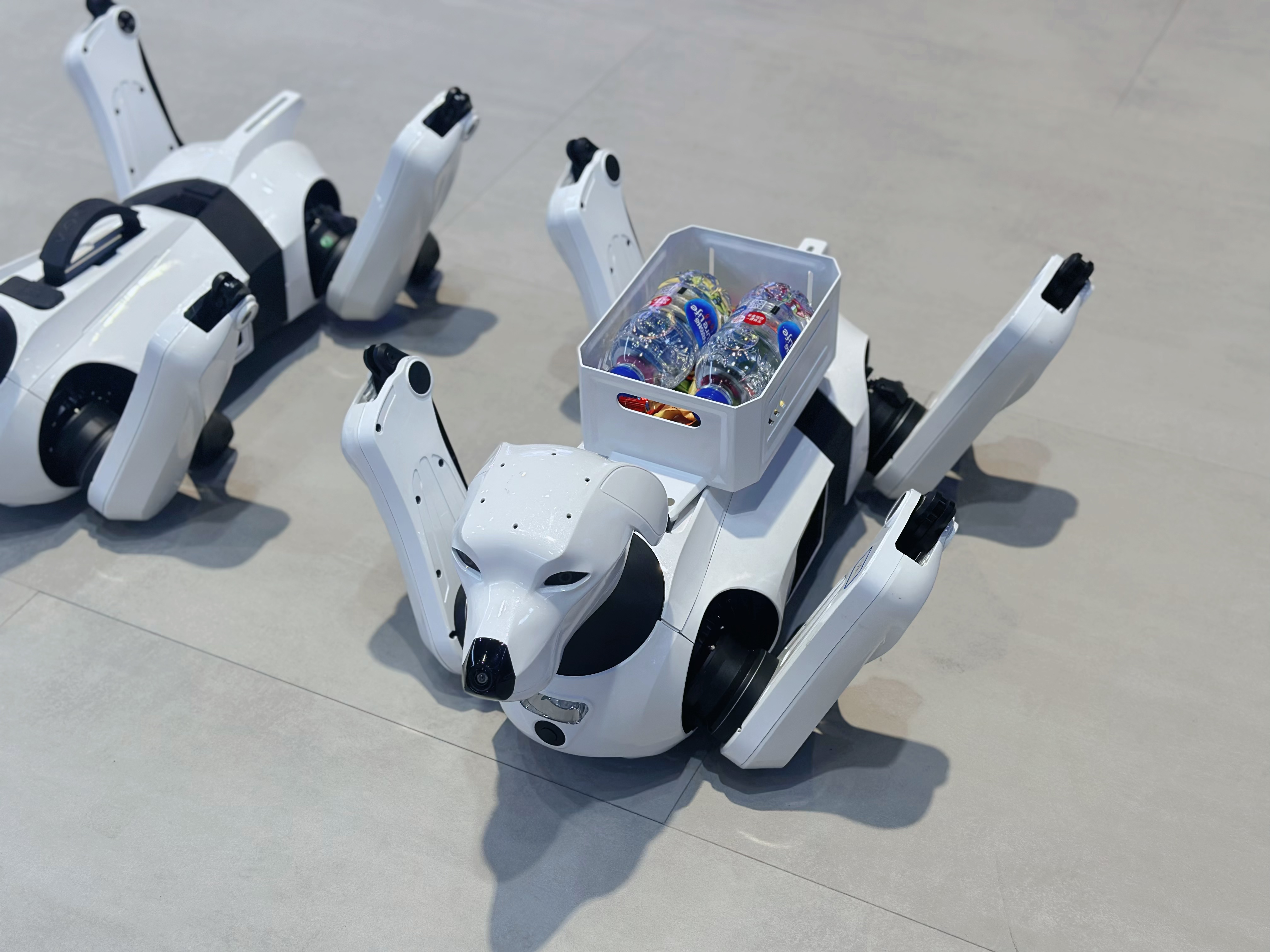 奇瑞机器狗.jpg cde2644d7917469196f2707c1b605364.jpeg