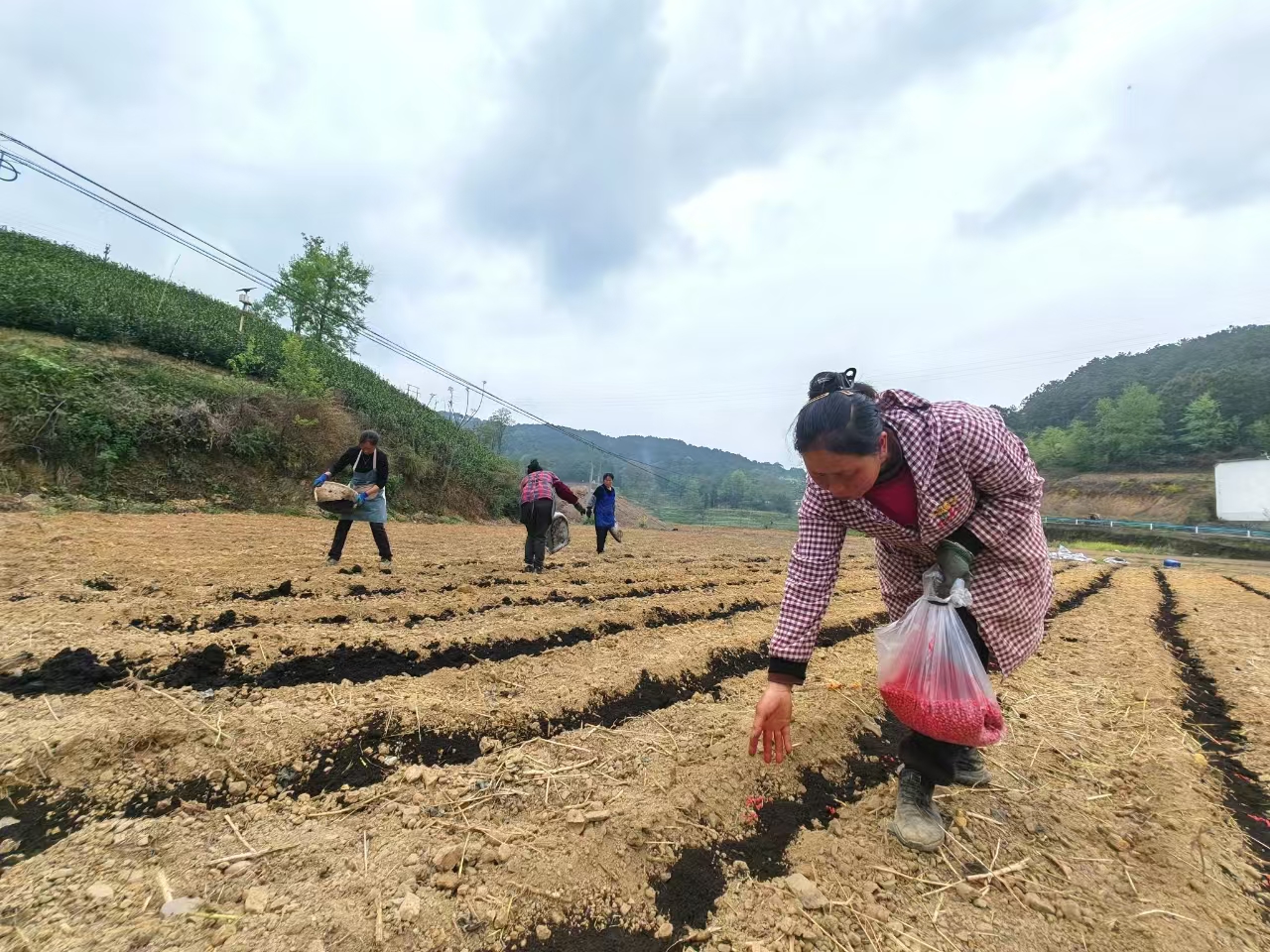 11.jpg 15aed0d1dada40c9bc4ba1f1885f8b0f.jpeg