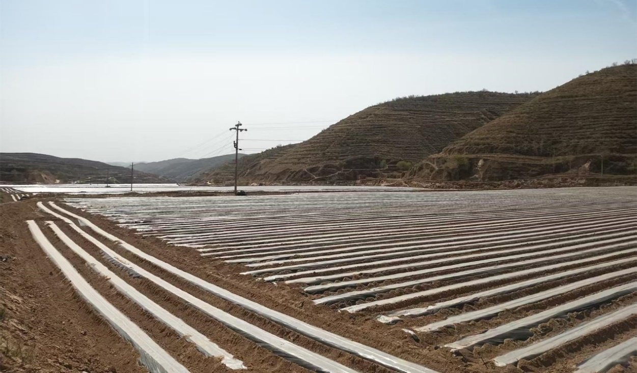 fd0ad7fa7b93418eb3d2b3217103e416.jpeg fd0ad7fa7b93418eb3d2b3217103e416.jpeg